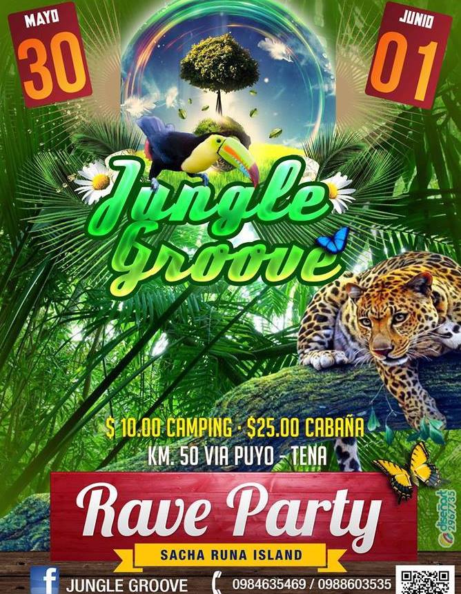 Jungle Groove poster